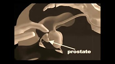 Brattysis: జాజ్మిన్ లవ్‌తో పోర్న్‌హెచ్‌డిలో ప్రేమికుల తెలుగు తెలుగు సెక్స్ వీడియో కం రోజున అనుకోకుండా నా సవతి సోదరుడిని ఇబ్బంది పెట్టాను